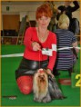 /album/mezinarodni-vystava-psu-v-ceskych-budejovicich-26-4-2014alerie/nik-2566-jpg/