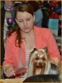 /album/xxvi-mezinarodni-vystava-psu-praha-prague-expo-dog-3-5-2014/nik-2966-jpg/