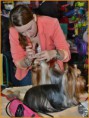 /album/xxvi-mezinarodni-vystava-psu-praha-prague-expo-dog-3-5-2014/nik-2967-jpg/
